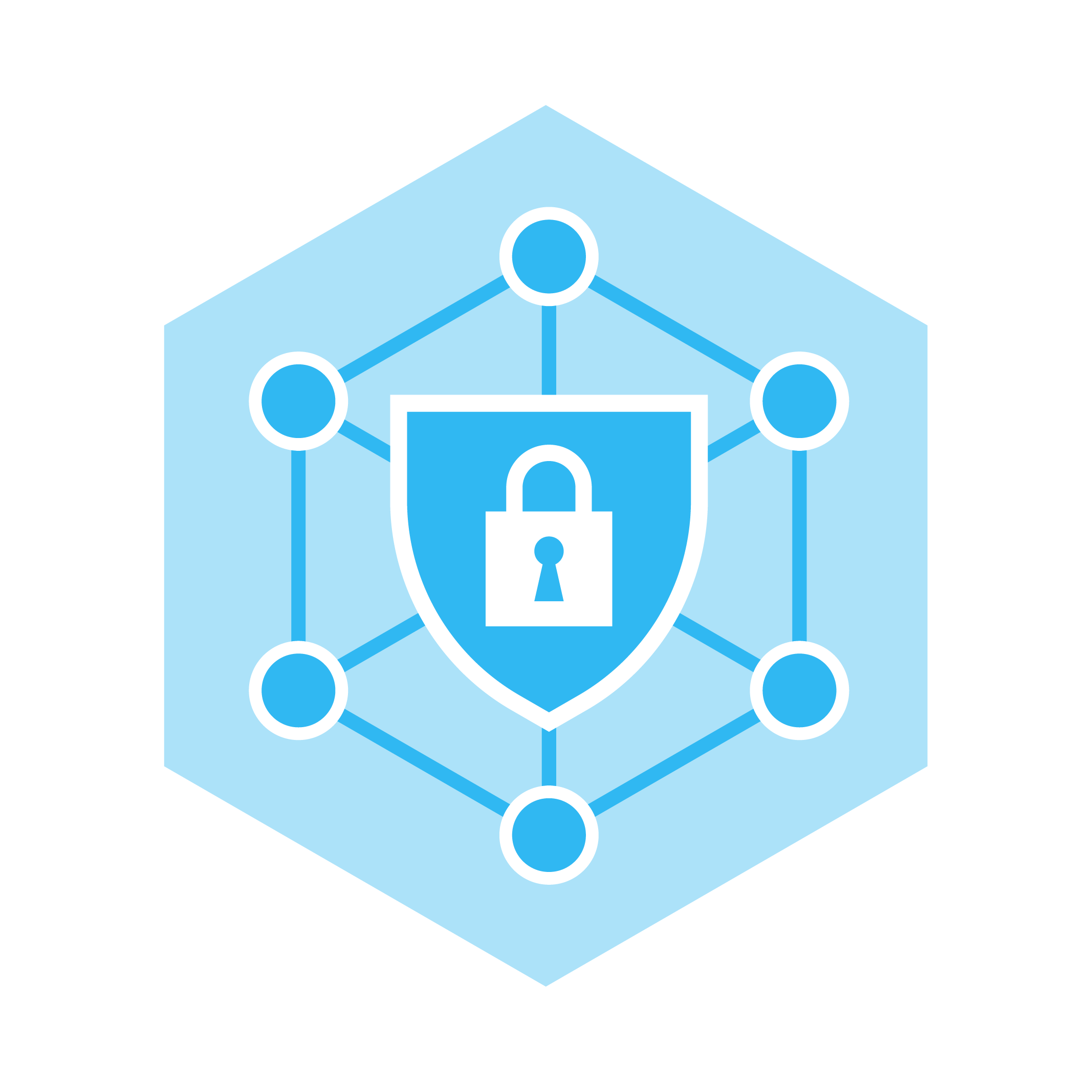 cyber defenses icon