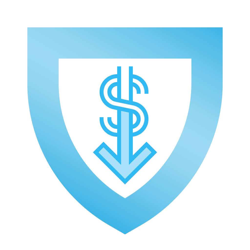 cybersecurity-low-cost--L1-icon