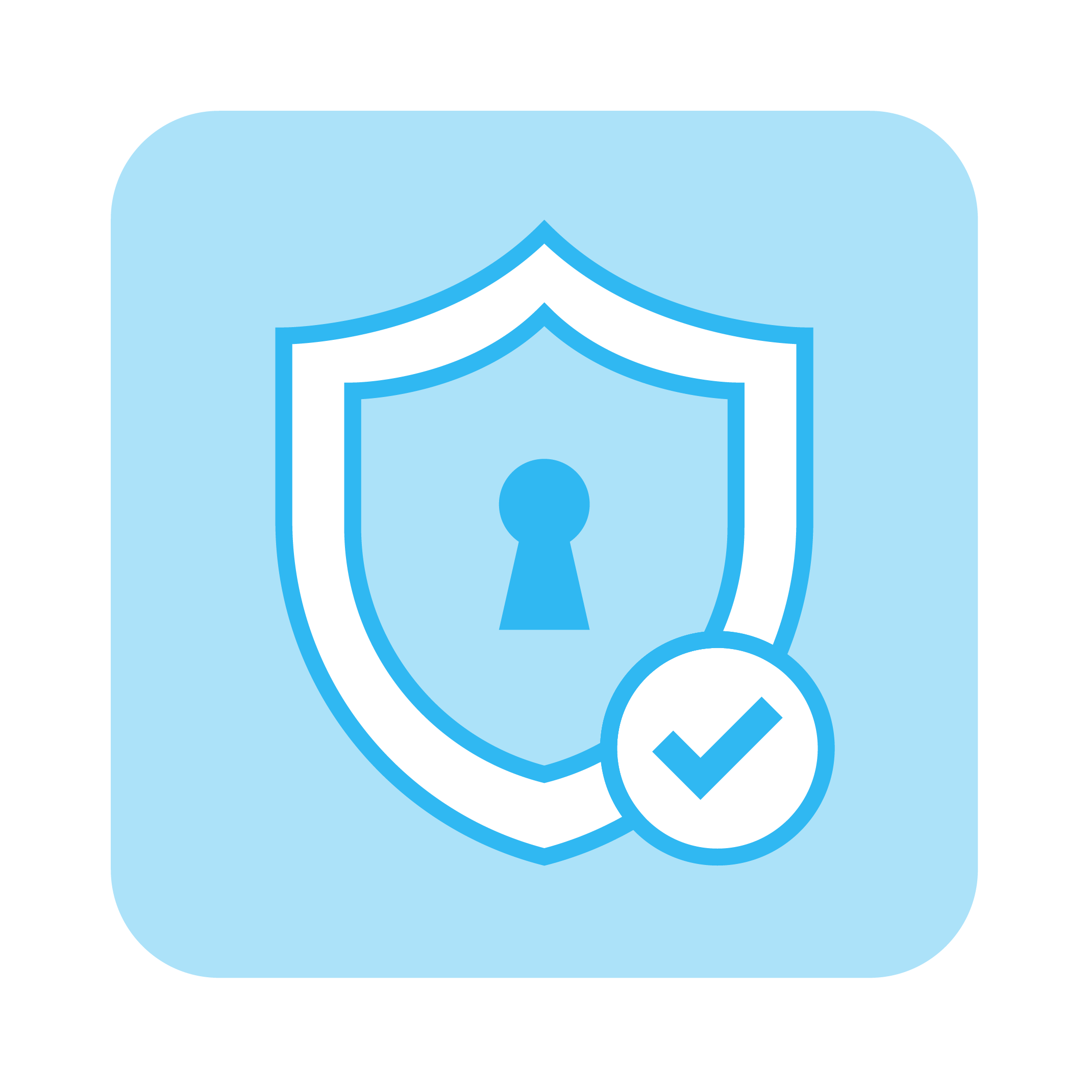 Vulnerabilities discovered icon